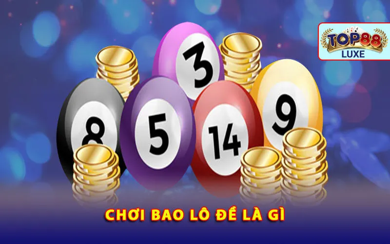 choi-bao-lo-de-la-gi