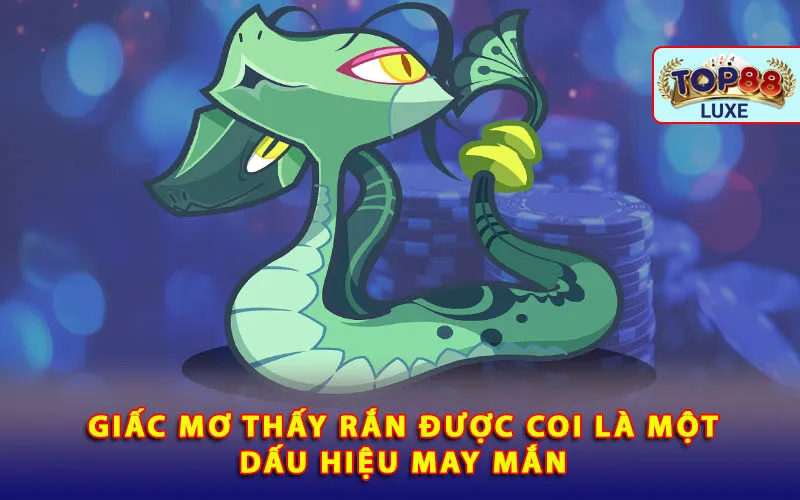 giac-mo-thay-ran-duoc-coi-la-mot-dau-hieu-may-man