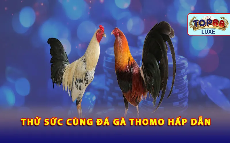 thu-suc-cung-da-ga-thomo-hap-dan
